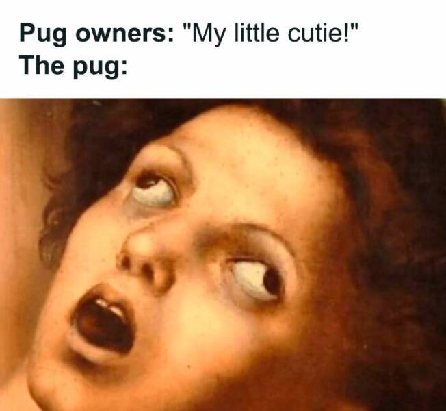 The Funniest Random Memes On The Internet