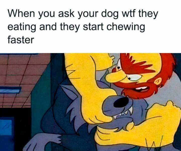 The Funniest Random Memes On The Internet