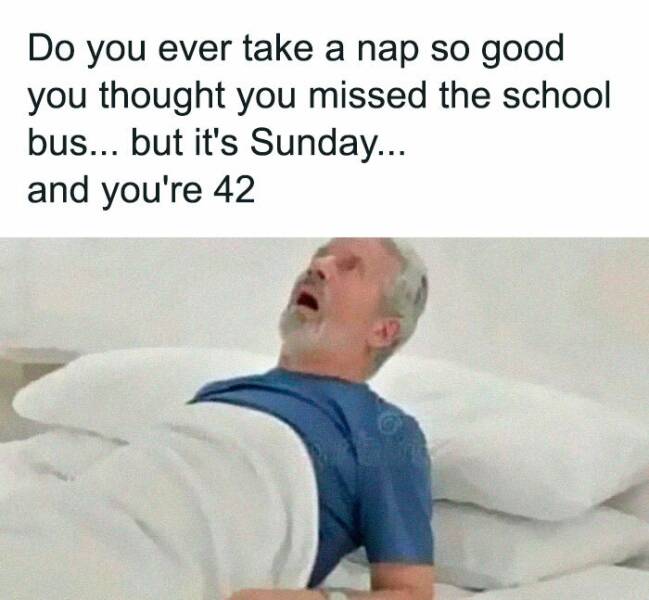 The Funniest Random Memes On The Internet