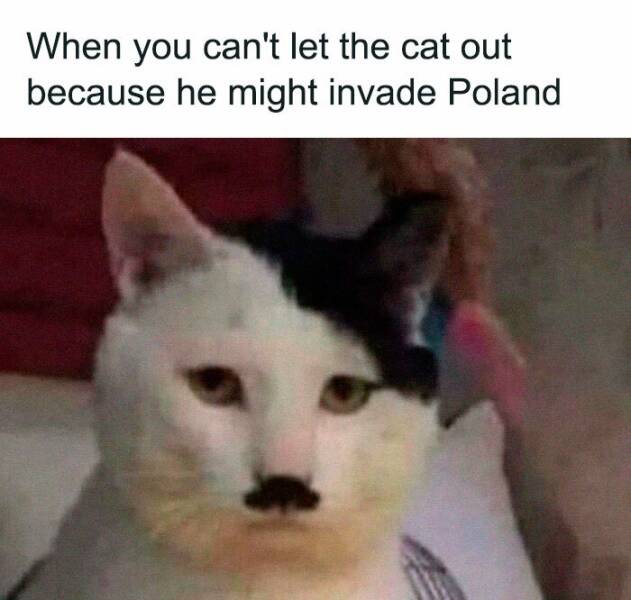 The Funniest Random Memes On The Internet