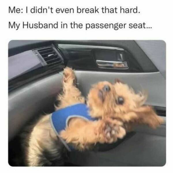 The Funniest Random Memes On The Internet