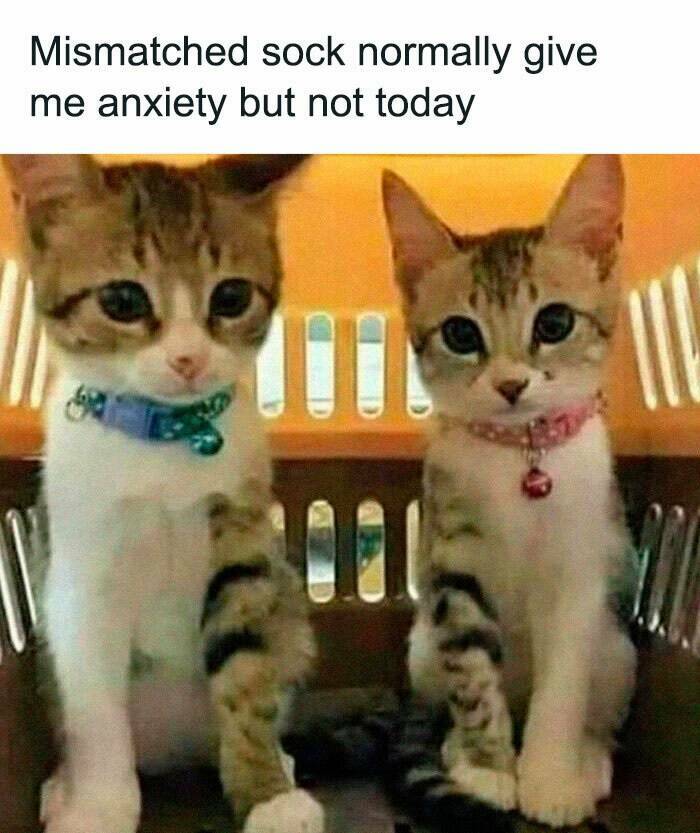 The Funniest Random Memes On The Internet