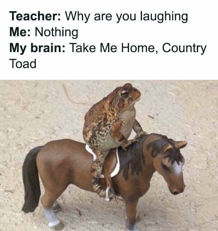 The Funniest Random Memes On The Internet