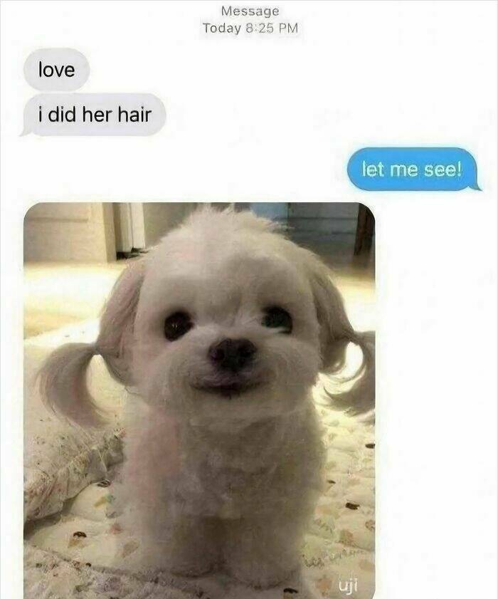 The Funniest Random Memes On The Internet