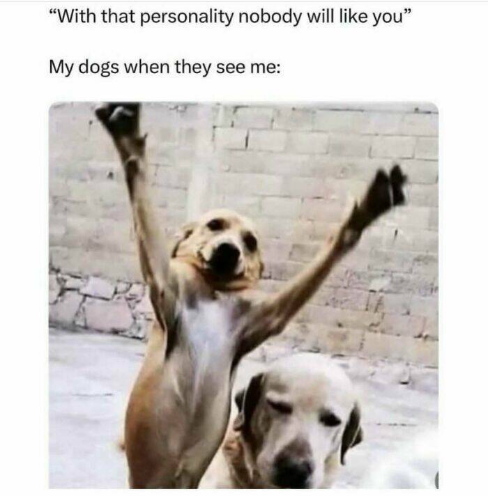 The Funniest Random Memes On The Internet