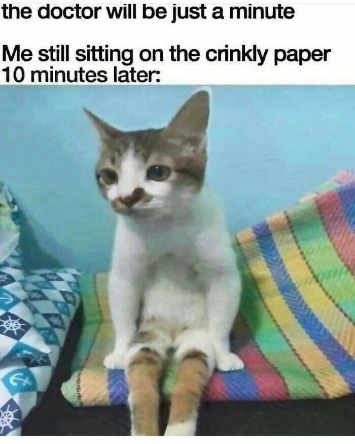 The Funniest Random Memes On The Internet