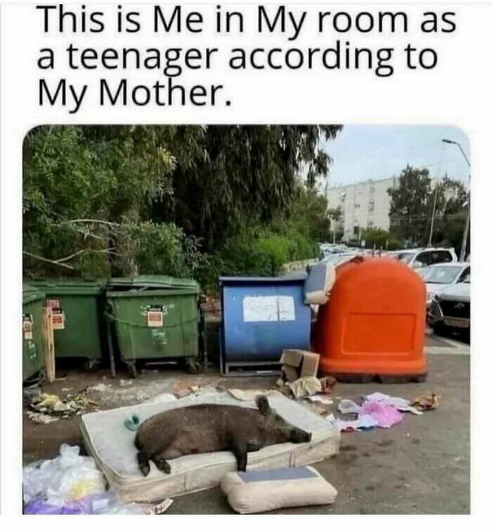 The Funniest Random Memes On The Internet