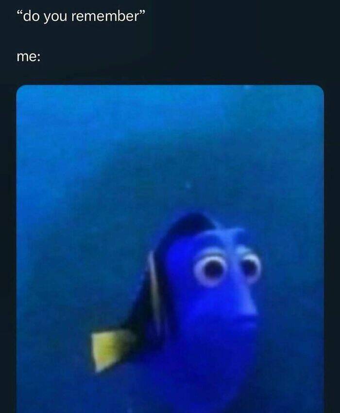 The Funniest Random Memes On The Internet