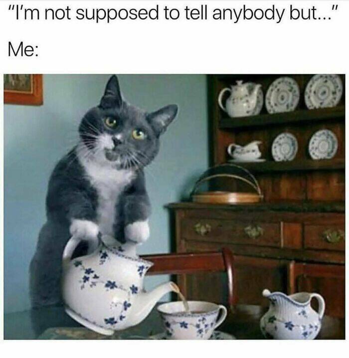 The Funniest Random Memes On The Internet