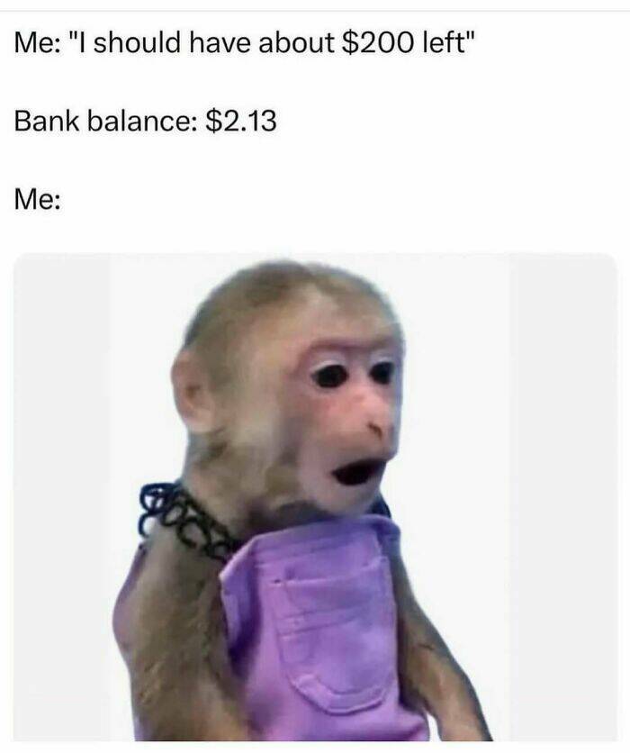 The Funniest Random Memes On The Internet