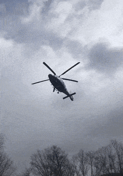 Daily Gifdump Daily Gifdump