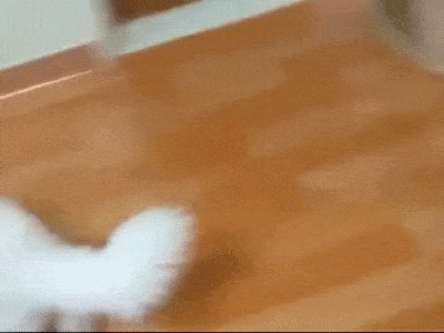 Daily Gifdump Daily Gifdump