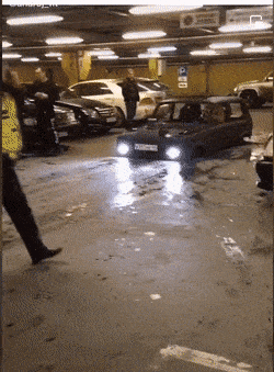 Daily Gifdump Daily Gifdump