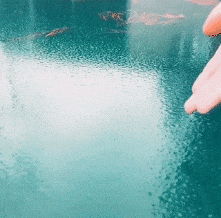 Daily Gifdump Daily Gifdump