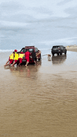 Daily Gifdump Daily Gifdump