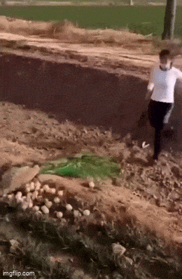 Daily Gifdump Daily Gifdump