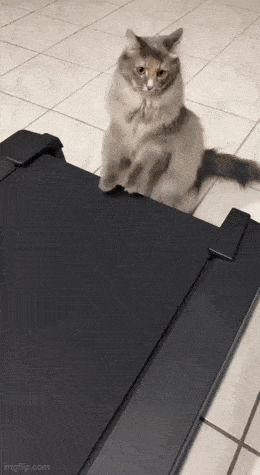 Daily Gifdump Daily Gifdump