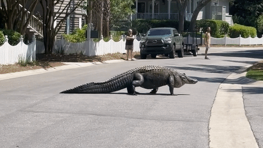 The Myths Our Parents Made Us Believe