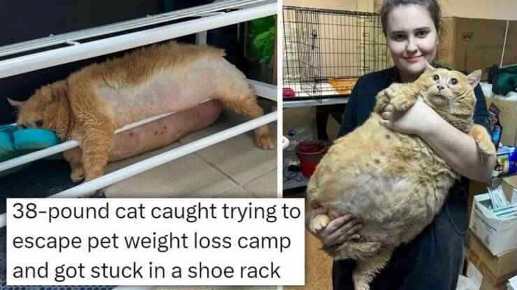 Daily Picdump