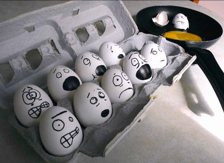 Daily Picdump
