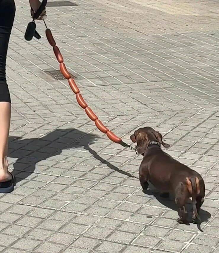 Daily Picdump