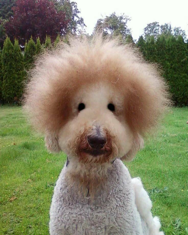 Daily Picdump
