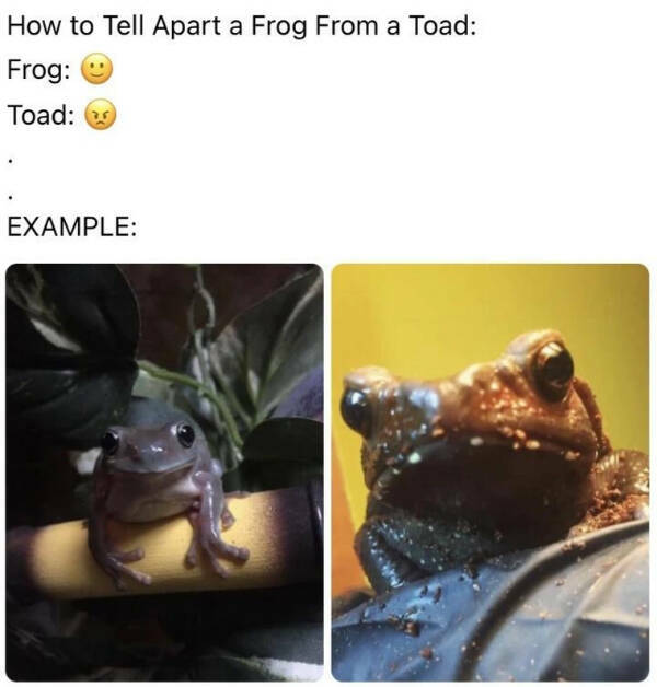 Don’t Laugh If You Don’t Wanna Lose!