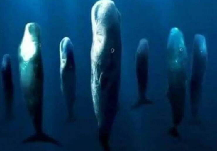 Eerie Pics That Send A Chill Down Your Spine