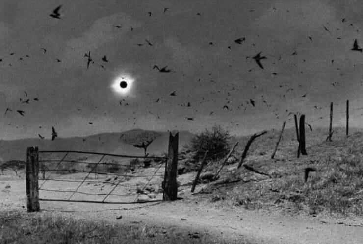 Eerie Pics That Send A Chill Down Your Spine