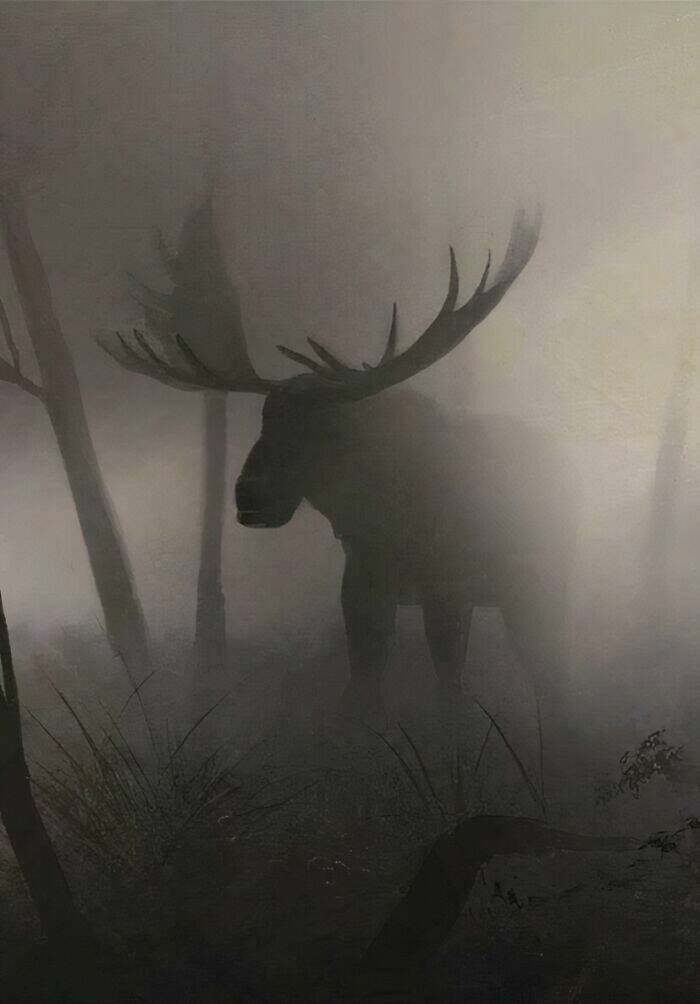 Eerie Pics That Send A Chill Down Your Spine