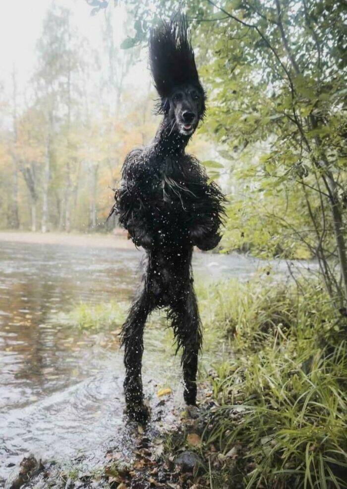Eerie Pics That Send A Chill Down Your Spine