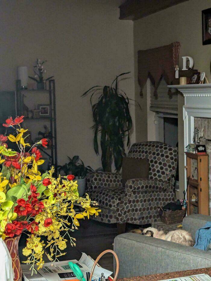 Eerie Pics That Send A Chill Down Your Spine