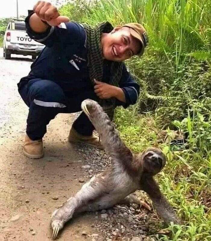 Hilarious Animal Moments That Will Make Your Day