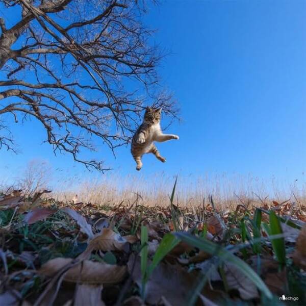 Morning Picdump Morning Picdump