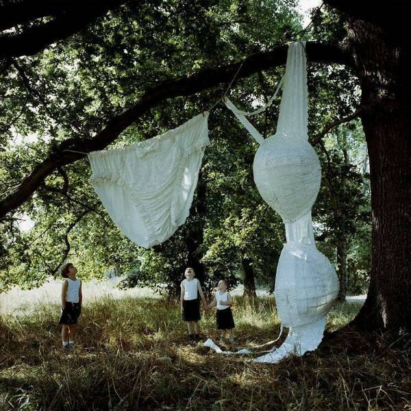 Morning Picdump Morning Picdump