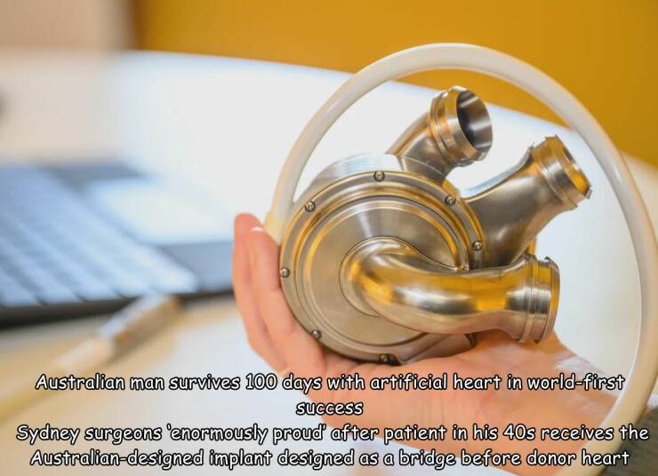 Morning Picdump Morning Picdump