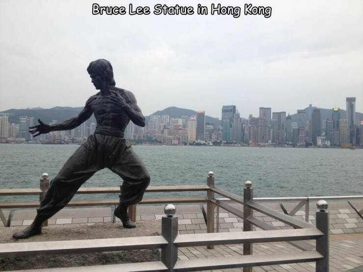 Morning Picdump Morning Picdump