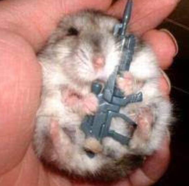 Morning Picdump Morning Picdump