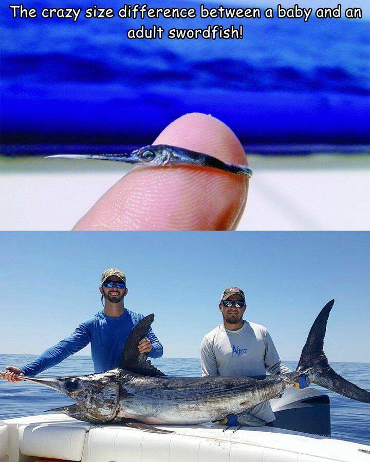 Morning Picdump Morning Picdump