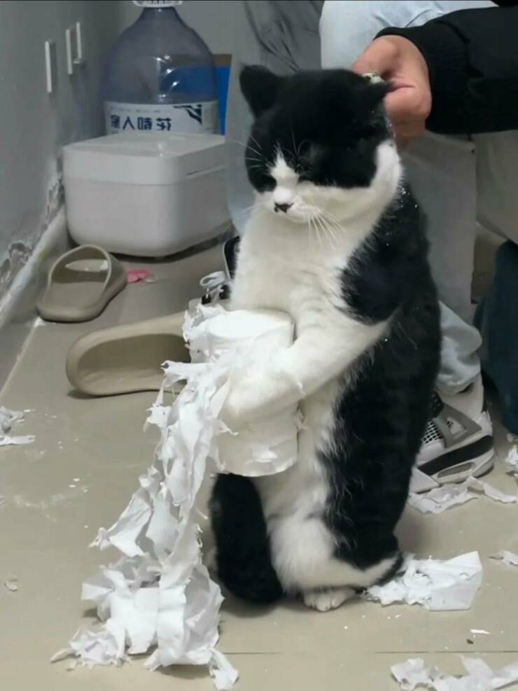 Morning Picdump Morning Picdump