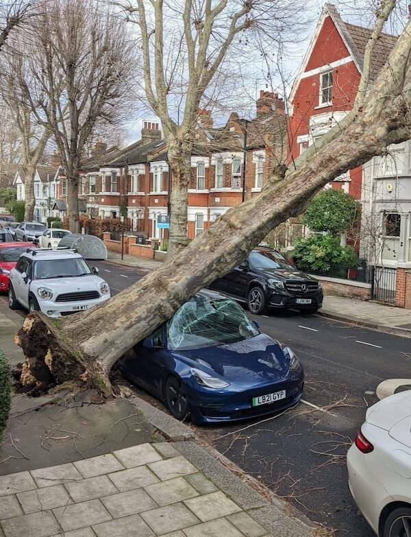 These Cars Have Been Through It… And It Shows