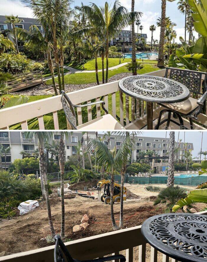 Airbnb Expectations Мs. Reality: A Hilarious Disaster