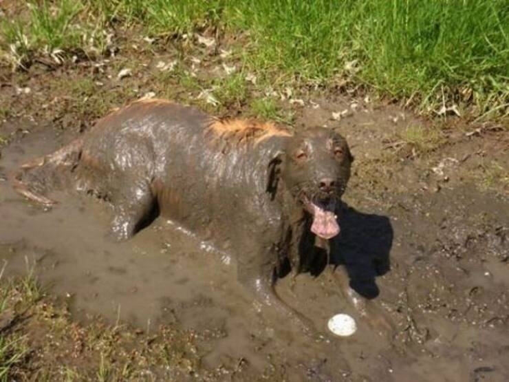 Daily Picdump