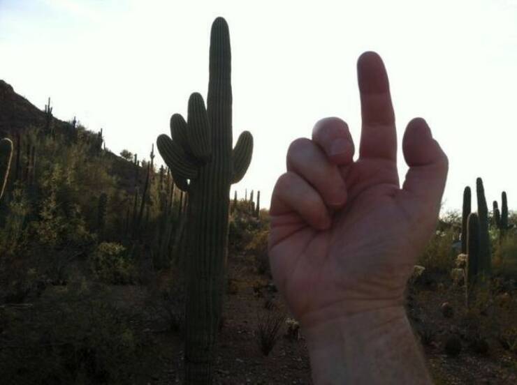 Daily Picdump