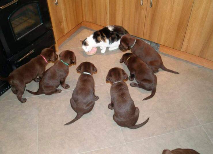 Daily Picdump