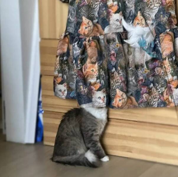 Daily Picdump
