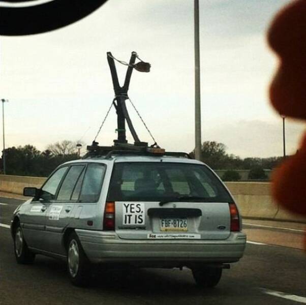 Daily Picdump