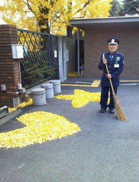 Daily Picdump