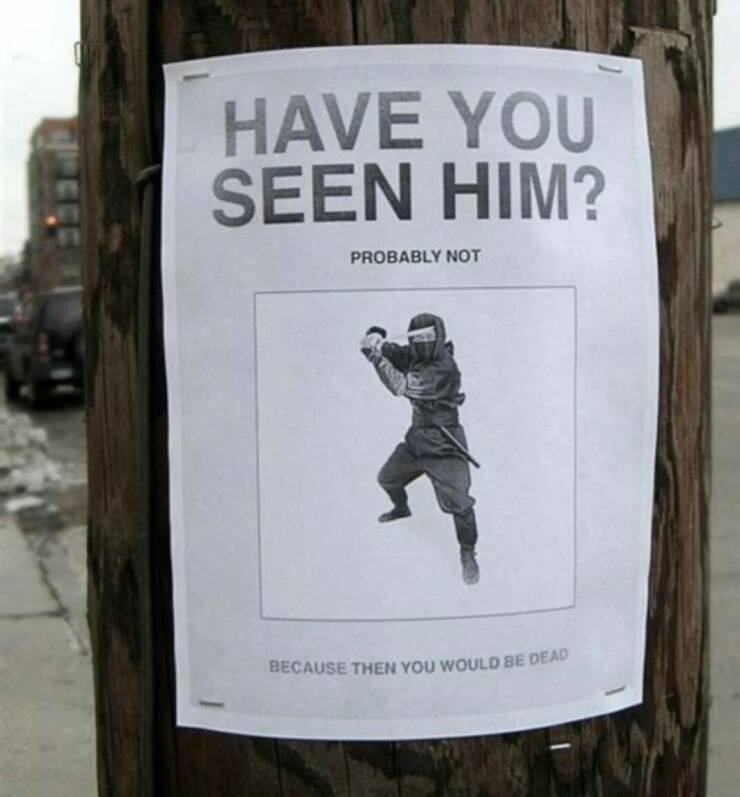 Daily Picdump
