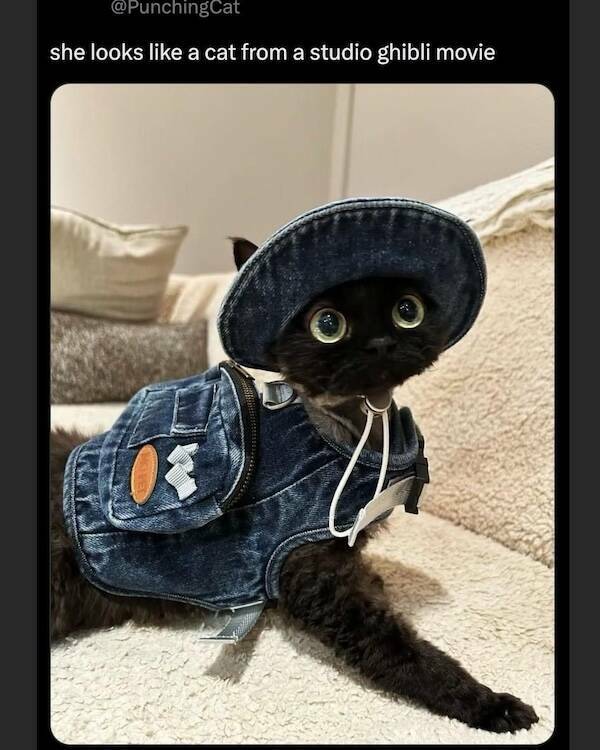 Memes For The Proudly Nerdy And Geeky